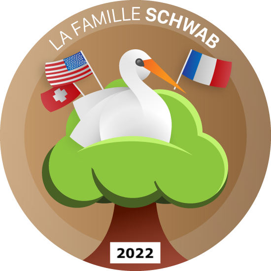 Logo Schwab 2022